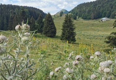 Tour Wandern Lélex - 2020-07-12_16h25m49_5 PED - MONTS & COMTE Le Centre - Le Pré Fillet - Photo