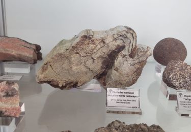 Randonnée Marche Collobrières - Géologie à Collobrières - Photo