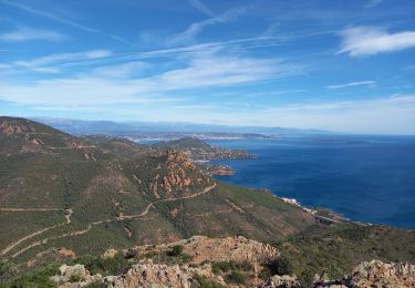 Tour Wandern Saint-Raphaël - Pic du Cap Roux 1.10.22 - Photo