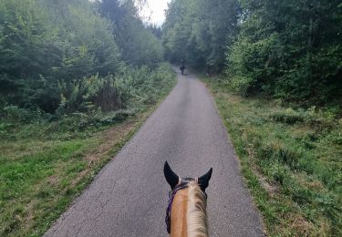 Tour Reiten Turquestein-Blancrupt - randonnée turquestein direction Celles-sur-Plaine  - Photo