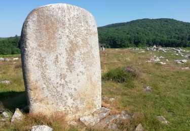 Tour Wandern Nages - lac du Laouzas - ferme de Payrac - Photo