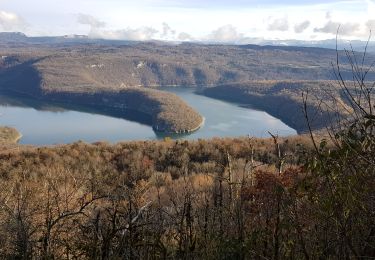 Tour Wandern Cernon - Cernon: Belvedere du Châtelet  - Photo