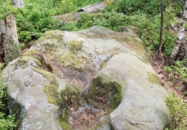 Trail Walking Vexaincourt - Vosges - Vexaincourt - Lac de la Maix- sentier des myrtilles  - Photo