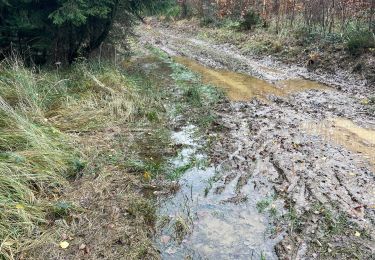 Randonnée Marche Theux - Tancremont 8 Km  - Photo