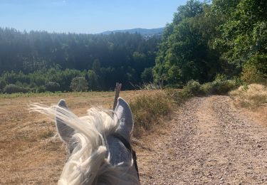 Trail Horseback riding Cheniménil - Chenimenil - La Haute Verrière  - Photo