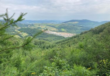 Trail Walking Saint-Cyr-le-Chatoux - Saint-Cyr-le-Chatoux / 10 km - Photo