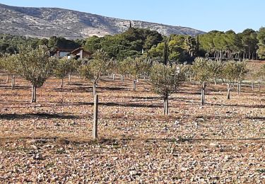 Randonnée Marche Espira-de-l'Agly - espira montpins - Photo