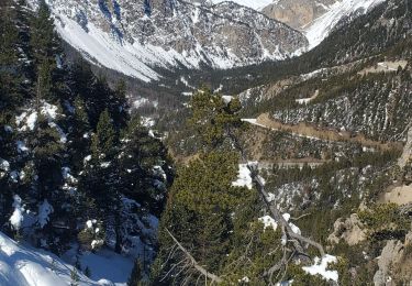Randonnée Raquettes à neige Le Petit Jardin - Arvieux tronchet  9kms 645mArvieuxtronchet 9kms 645m - Photo
