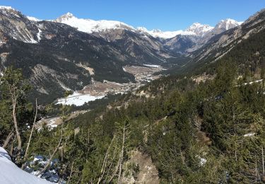 Tocht Sneeuwschoenen Montgenèvre - Bois de Sestrières - Photo