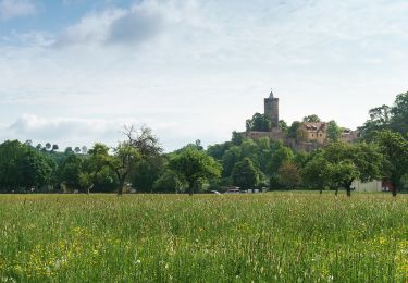 Trail On foot Schönburg - Geopfad Schönburg - Photo