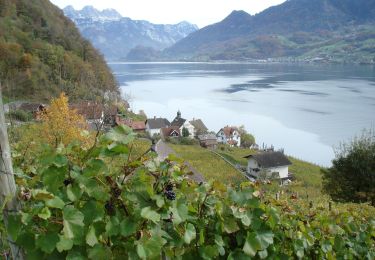 Tocht Te voet Walenstadt - Walenstadtberg - Quinten - Photo