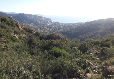 Excursión Senderismo Le Lavandou - tracer au 2 normes du Lavandou - Photo