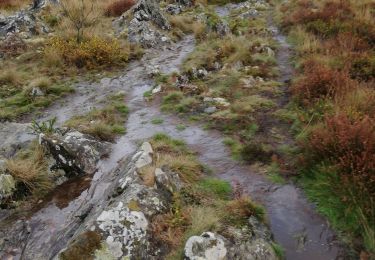 Excursión Senderismo Pluherlin - la vallée de l'Arz  - Photo