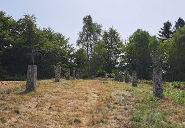 Trail Walking Chambon-sur-Dolore - AUVERGNE 2023 Chambon-Frideroche - Photo