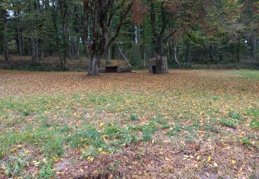 Trail Walking Donzy-le-Pertuis - Donzy le Perthuis la fontaine des croix page 66 - Photo