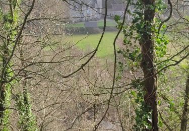 Tour Wandern Saint-Lô - Saint-Lô - La Vire et le Falaise - Photo