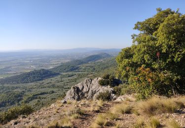 Tocht Stappen Volx - Volx -La garde - Photo