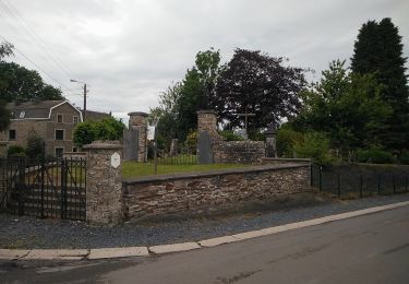 Percorso A piedi Vaux-sur-Sûre - Promenade du Loup - Photo
