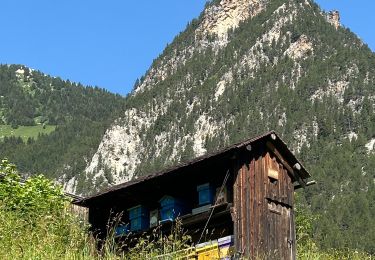 Randonnée Marche Pralognan-la-Vanoise - Village de La Croix Pralognan  - Photo