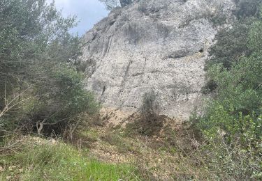 Tour Wandern Aniane - Le tour des cougnets  - Photo