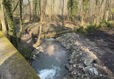 Trail Walking Gerpinnes - Ruisseau des haies et centre de Delassement  - Photo