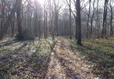 Randonnée Marche Prugny - Prugny 19km le 20.02.2023 - Photo