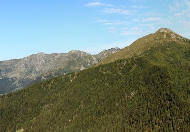 Tour Zu Fuß Telve di Sopra - Sentiero di Spiado e Sentiero del Salubio - Photo