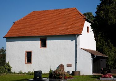 Randonnée A pied Reichelsheim (Odenwald) - Rundwanderweg Reichelsheim Teufelstein 3: Klößbuckelweg - Photo