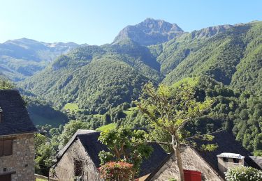 Tocht Stappen Aydius - Chemin des buis de Camloung-Segnate - Photo