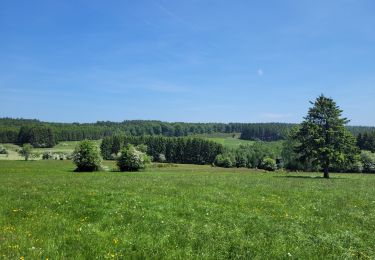 Tour Wandern La Roche-en-Ardenne - rando samrée 30-05-2023 - Photo