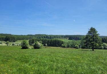 Excursión Senderismo La Roche-en-Ardenne - rando samrée 30-05-2023 - Photo