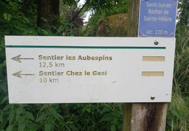 Tour Wandern Saint-Junien - SAINT JUNIEN - Photo