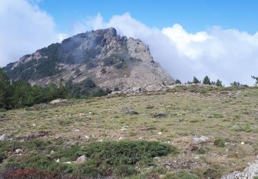 Tour Wandern Calenzana - GR20 Etape 1 Calanzana Ortu Di U Piobbu - Photo