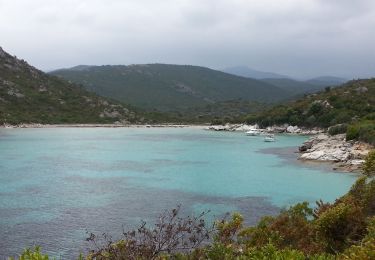 Trail Walking Santo-Pietro-di-Tenda - 03/06/2013 11:02 St Florent - Photo