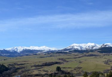 Trail Walking Le Vernet-Sainte-Marguerite - Vernet_Puy_Alou - Photo