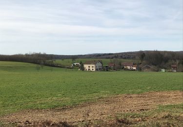 Tocht Paardrijden Fougerolles-Saint-Valbert - Circuit Château d’Eau 6kms  - Photo