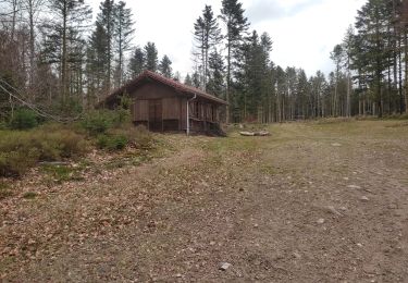 Randonnée Marche Ferdrupt - circuit col de la sûre chalets de rupts derrière et homant - Photo