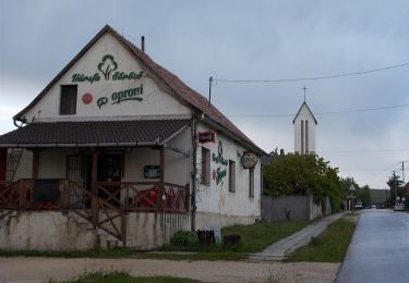 Tocht Te voet Pénzesgyőr - Z+ Hárskút-Pénzesgyőr - Photo