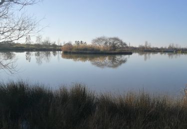 Trail Walking Fonsorbes - Les 3 B : Bidot, Birazel et Bordeneuve - Photo