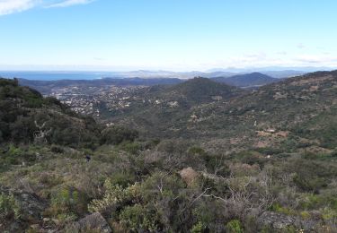 Excursión A pie Bormes-les-Mimosas - bormes les mimosas - Photo