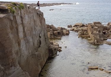 Trail Walking Pleumeur-Bodou - Tour de l' ile grande, Trebeurden - Photo