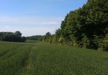 Tocht Stappen Rambouillet - Rambouillet- Gazeran - Photo