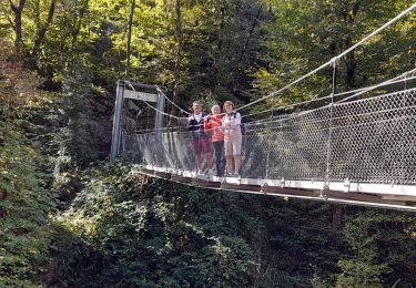 Trail Walking Saint-Mesmin - DORDOGNE / SAINT MESMIN: L' AUVEZERE - Photo