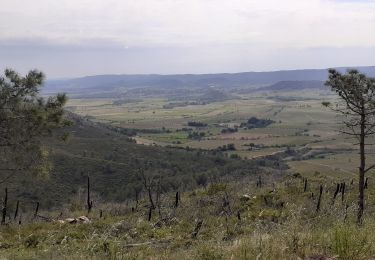 Randonnée Marche Fabrezan - Frabezan La Pinada  - Photo