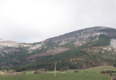 Randonnée Marche Jonchères - Montagne de Praloubeau (Jonchères) - Photo