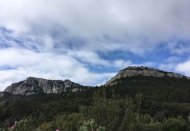 Trail Walking La Farlède - Le Coudon au départ de la Farlède - Photo