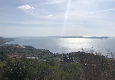 Trail Walking Carqueiranne - Colle noire 30-3-2022 - Photo