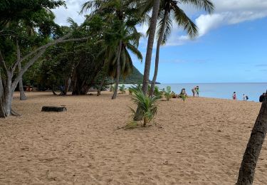 Excursión Carrera Deshaies - Grand anse - Photo