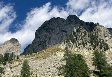 Trail Walking Saint-Martin-Vésubie - Col fenestre - Photo