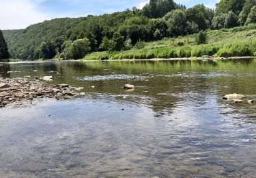 Tour Wandern Vresse-sur-Semois - la lesse - Photo